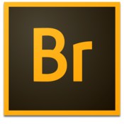 Adobe Bridge 2020