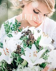 Kreativ Wedding LUTs Vol1 (Win/Mac)