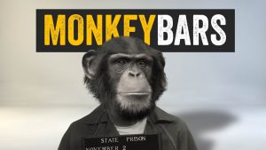 Aescripts MonkeyBars 1.07