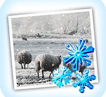 JixiPix Snow Daze