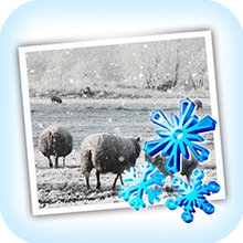 JixiPix Snow Daze 1.27