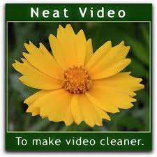 Neat Video Pro 4.8.8 for OFX