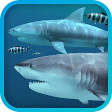 Sharks 3D 2.1.0