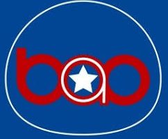 BAO Mask Avenger