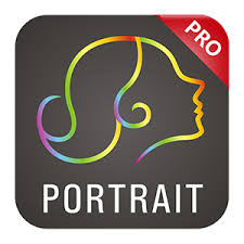 WidsMob Portrait Pro 2.4