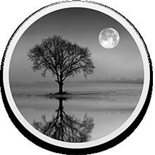 Reflect Studio 3.0