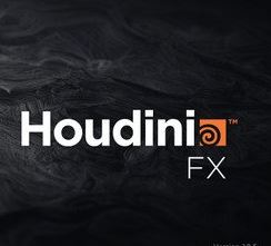 SideFX Houdini FX 18.5.532