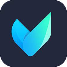 Vidmore Video Converter 2.3.38