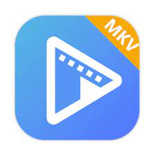 AVAide MKV Converter for Mac 1.0.8