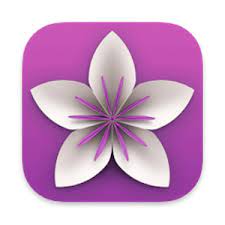 Vellum 3.8.4
