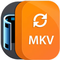 Aiseesoft MKV Converter 9.2.22