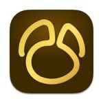 Navicat Premium