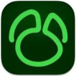 Navicat for MySQL