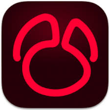 Navicat for Oracle 17.1.6
