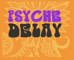 Native Instruments Psyche Delay 1.3.3