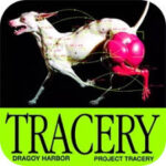 Aescripts - Tracery