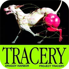 Aescripts – Tracery v1.1