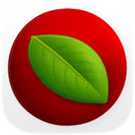 Lingon Pro