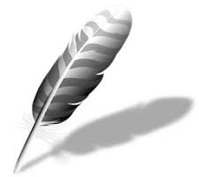 Wing Pro