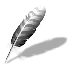 Wing Pro 11.0.7